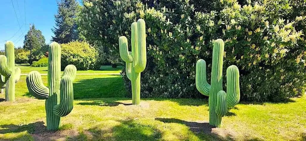 Custom concrete cactus sculpture and decorative work - RC Concrete artisan craftsmanship