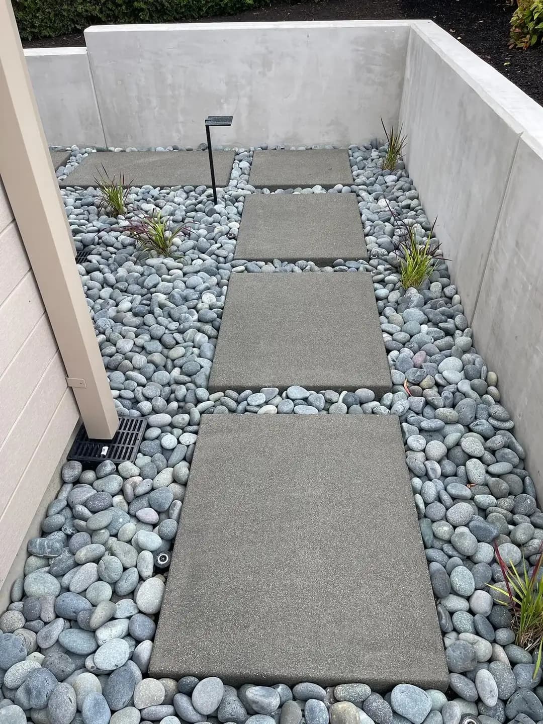 Modern concrete walkway in Puyallup with rectangular stepping stones surrounded by smooth gray river rocks.